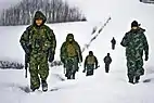 Soldiers in green camouflage gear trudge through snow during a snowstorm