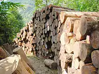 Deforestation in Nepal