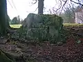 The Chuckie stone amongst the trees with Ladyland house in the background.