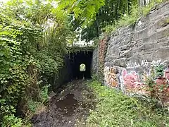 Delaware Avenue Tunnel in Kingston as it appeared in October, 2018