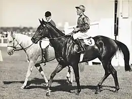 Delta,1952 winner