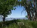 Lake Manitoba From Delta Marsh Field Station