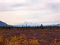 On a clear day, westbound travelers can see Denali