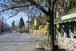 A view of Madrona Place and East Denny Way in the Denny-Blaine neighborhood