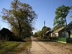 Road through the village