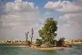 Temporary desert lake after the heavy rainfall in Saih Al-Dahal