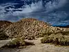 Fages-De Anza Trail-Southern Emigrant Road