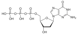 Skeletal formula of deoxyguanosine triphosphate