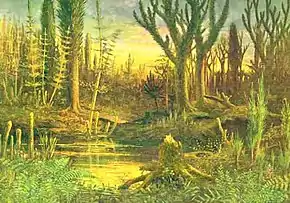 Image 25The Devonian marks the beginning of extensive land colonization by plants, which – through their effects on erosion and sedimentation – brought about significant climatic change. (from Evolutionary history of plants)