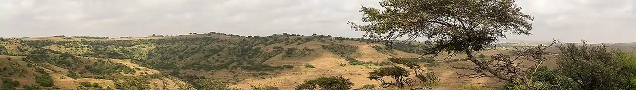 Landscape of Al-Qarah Mountains