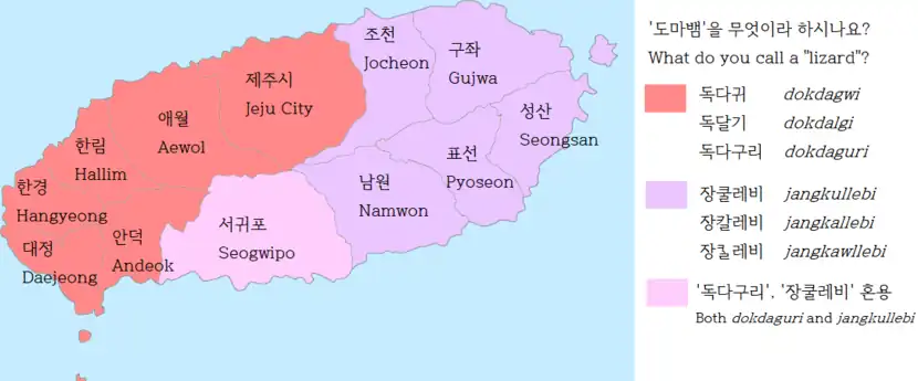 An east–west divide is salient in the Jeju words for "lizard".Eastern Seogwipo uses 장쿨레비 jangkullebi while western Seogwipo uses 독다구리 dokdaguri.