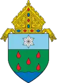 Diocese of Borongan