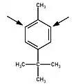 Substituents add ortho to the methyl group in para-(tert-butyl)toluene