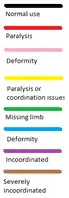 Colour guide for understanding full body diagrams