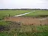 Cantley Marshes