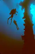 Divers next to the mast of the Unkai Maru