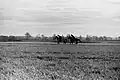 Horses training in 1990