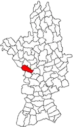 Location in Olt County