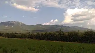 Apple orchard in Dolna Bela Crkva