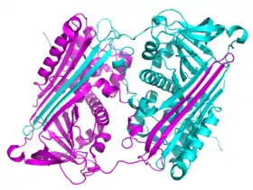 Diagram of a domain-swapped serpin dimer