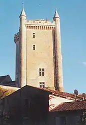 The 12th century keep of the Château de Morthemer