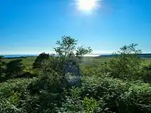 Doon of May Iron Age Hill fort: a view towards the water, through ferns and trees