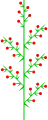 Heterothetic compound raceme