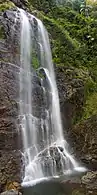 Red Cedar Falls on the Rosewood Creek Track