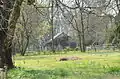 Outbuilding at Dortch Plantation