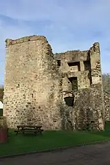 Quoile Castle, October 2009