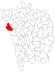 Location in Vaslui County