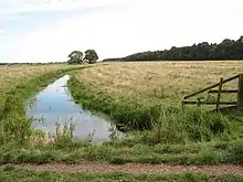 Damgate Marshes