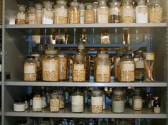 Various dried cereal grains, ears and flour in glass jars