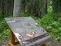 Interpretive sign on Driftwood Canyon trail.