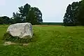 Glacial erratic at the summit of the drumlin