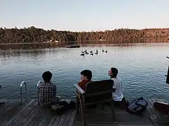 Ducks invade the swimming area on Long Pond