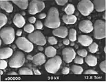 Resolution test specimen of gold particles on carbon in ESEM, at high magnification. Field width 1.2 µm