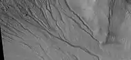 Close up of gully network showing branched channels and curves; these characteristics suggest creation by a fluid.  Note: this is an enlargement of a previous wide view of gullies in a crater, as seen by HiRISE under HiWish program.  Location is Phaethontis quadrangle.