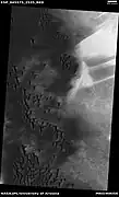 Wide view of field of dunes, as seen by HiRISE under HiWish program