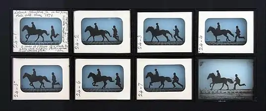 Leland Stanford Jr. on his Pony "Gypsy" (1879) by Eadweard Muybridge