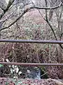 An Eagle Creek tributary at Curtis St and Augusta Ave