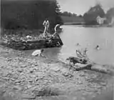 Eakins' students swimming naked in Dove Lake, c. 1883–84