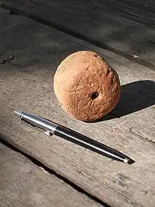 Loom weight discovered in Khirbet Abu esh-Sheba