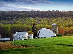 A farm in the township