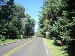 Bridge Road in Eayrestown