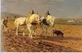 Zwei pflügende Schimmel (Two Greys Ploughing), 1899/1900