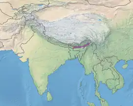 Brahmaputra Valley semi-evergreen forests