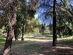 Lightly forested area of Edenvale Gardens Regional Park, with hiking trails and a concrete pathway