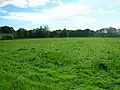 The site of the old 'Formal Gardens' from the walled gardens