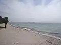 Beach on east side of island. Sunshine Skyway Bridge in background.